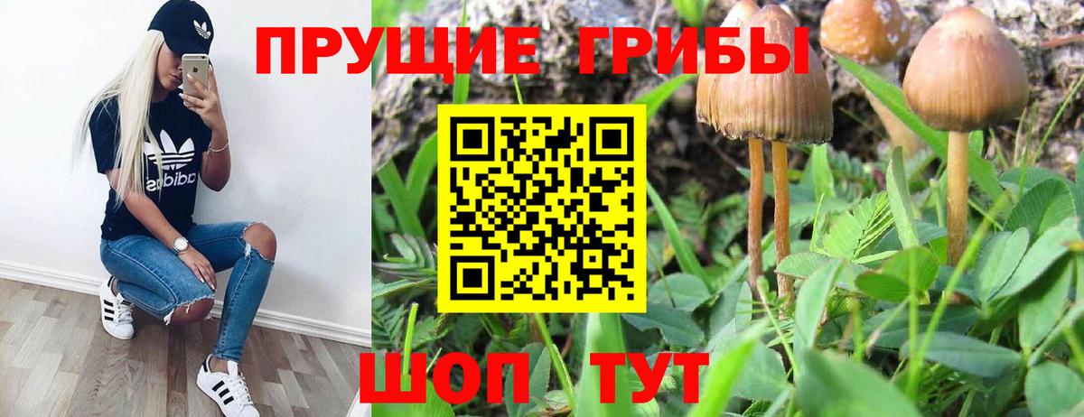 Псилоцибиновые грибы мухоморы Россошь